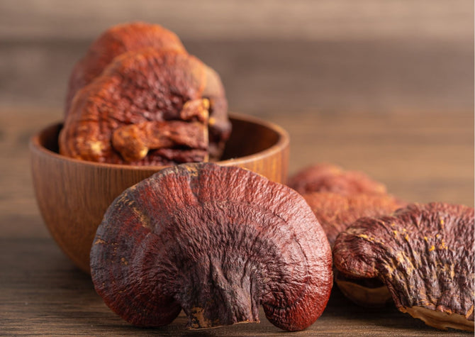 Paddenstoelen supplementen: wat zijn het en waarom zijn ze populair?