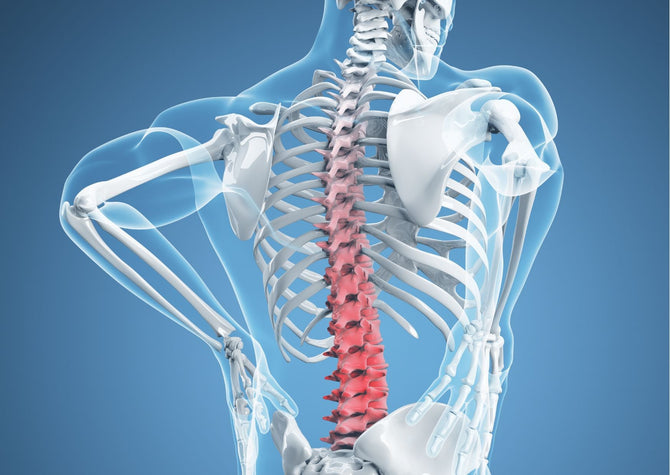 CBD olie tegen rugpijn