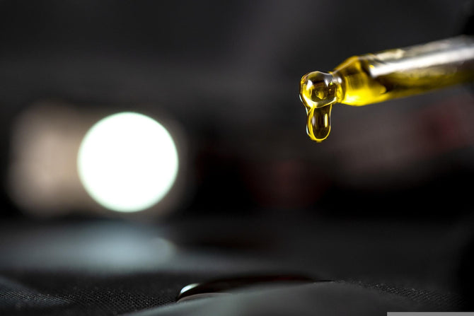 CBD olie werking – Hoe werkt CBD olie in het lichaam - Prohemp.nl