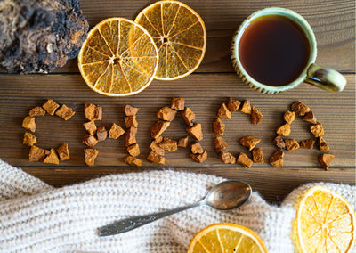 Wat is Chaga?