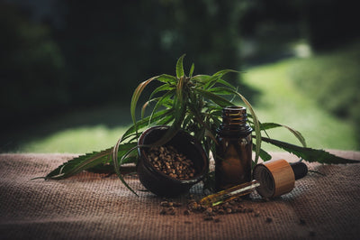 Hoe (lang) kan ik CBD (olie) bewaren? - Prohemp.nl