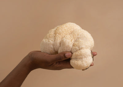 Nadelen van Lion’s Mane