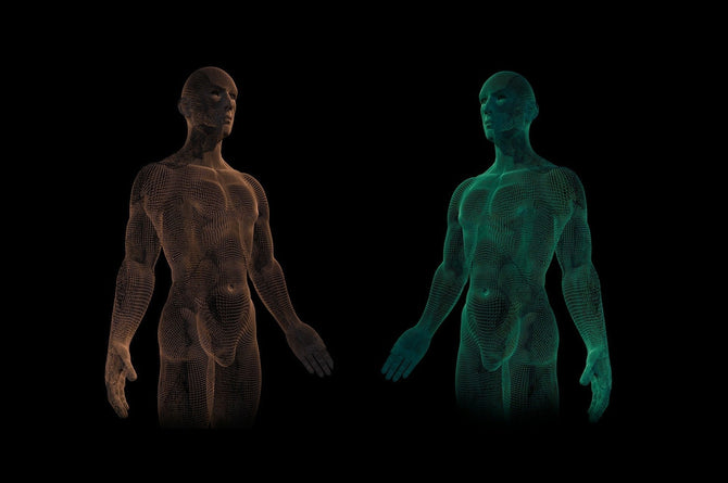 Wat is 5-HTP - Voordelen en nadelen 5-HTP - Prohemp.nl