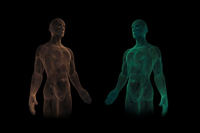 Wat is 5-HTP - Voordelen en nadelen 5-HTP - Prohemp.nl