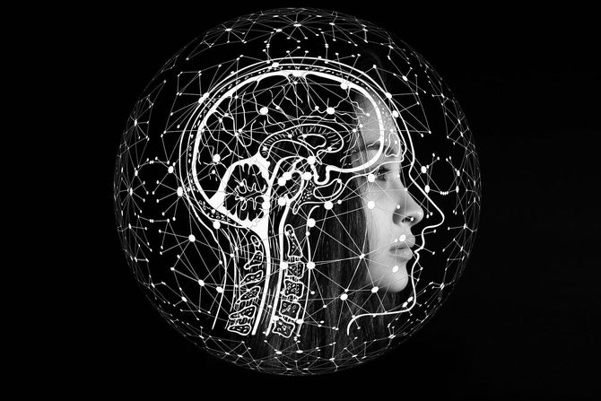 Wat is het endocannabinoïde systeem? - Prohemp.nl