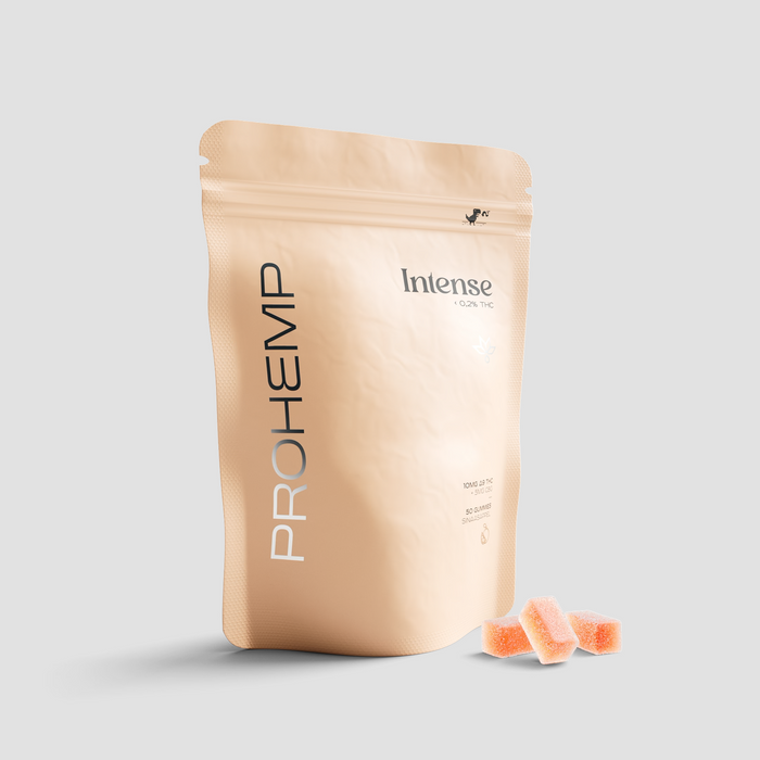 50 x Intense Gummies - Orange