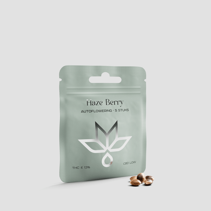 Haze Berry autoflowering seeds in green resealable pouch with loose seeds on white background