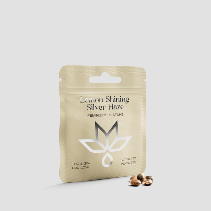 Lemon Shining Silver Haze feminized seeds pouch with seeds on light background