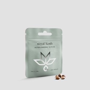 Royal Kush autoflowering seeds pouch with five seeds on a light background